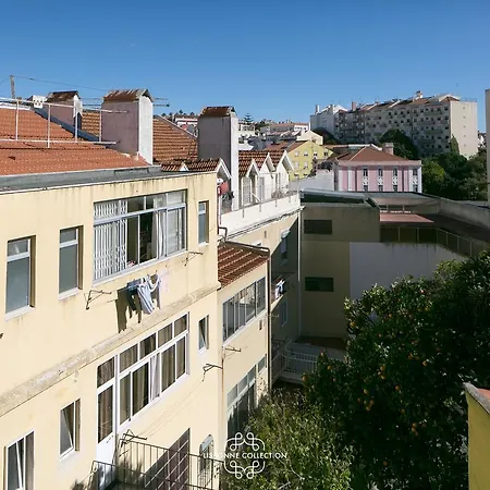 Elegant Living In Estrela District Апартаменты